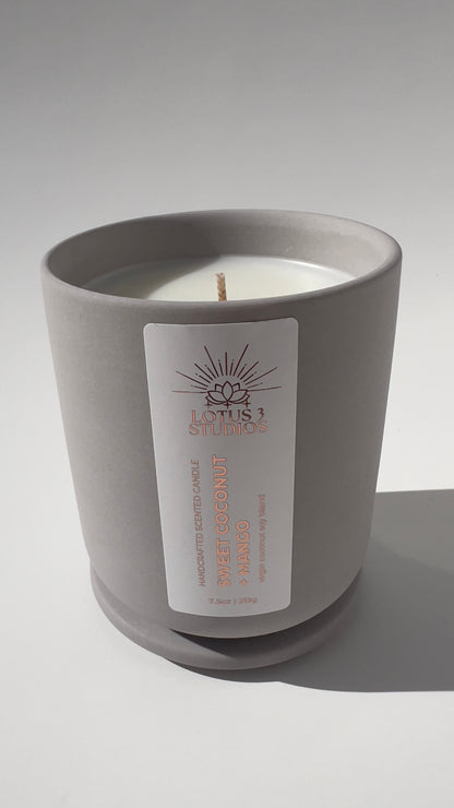 Sweet Coconut + Mango Scented Ceramic Candle