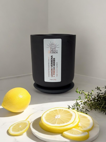 Lemon Verbena + Fresh Herbs Scented Ceramic Candle