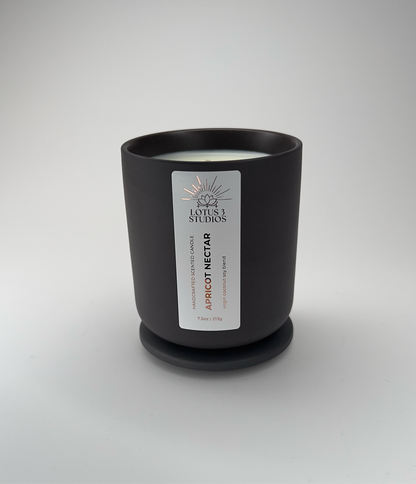 Apricot Nectar Scented Ceramic Candle